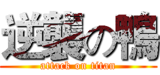逆襲の鴨 (attack on titan)