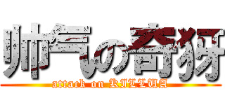 帅气の奇犽 (attack on KILLUA)