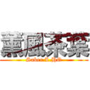 薰風茶葉 (Saber.L.HO)