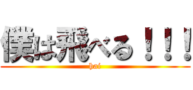 僕は飛べる！！！ (hai)