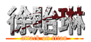 徐貽琳 (attack on titan)