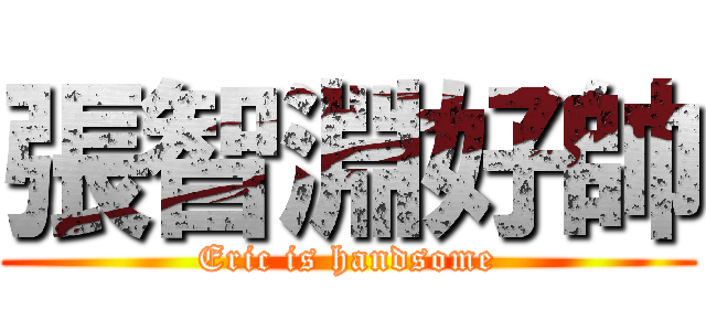 張智淵好帥 (Eric is handsome)