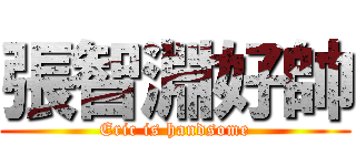 張智淵好帥 (Eric is handsome)