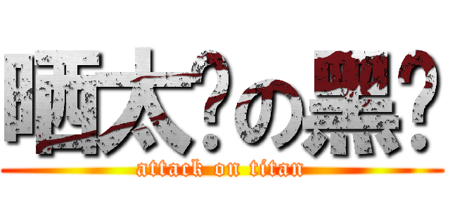 晒太阳の黑喵 (attack on titan)