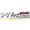 シゲルは巨根 (sigeru is pipan)