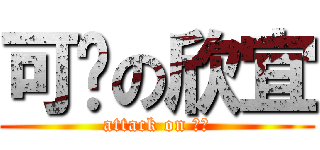 可爱の欣宜 (attack on 欣宜)