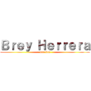 Ｂｒｅｙ Ｈｅｒｒｅｒａ (max-kun)
