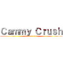 Ｃａｍｍｙ Ｃｒｕｓｈ (attack on titan)