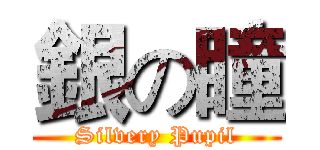 銀の瞳 (Silvery Pupil)