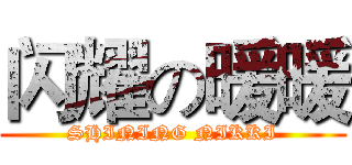 闪耀の暖暖 (SHINING NIKKI)