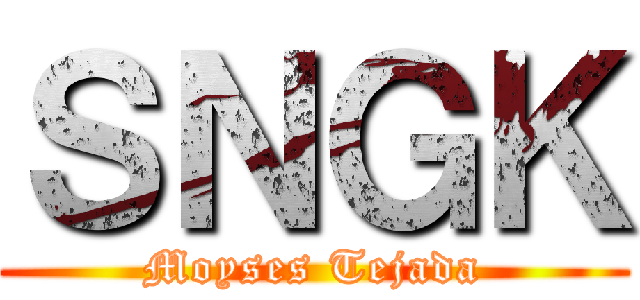 ＳＮＧＫ (Moyses Tejada)