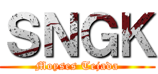 ＳＮＧＫ (Moyses Tejada)