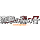 森撃の森の仔 (forest children)