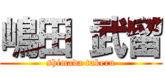 嶋田 武留 (shimada takeru)