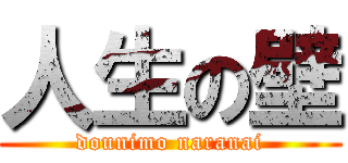 人生の壁 (dounimo naranai)