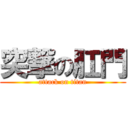 突撃の肛門 (attack on titan)