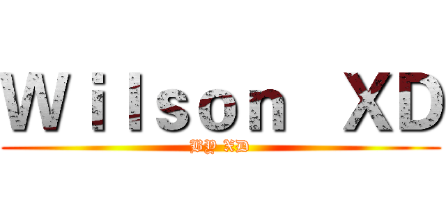 Ｗｉｌｓｏｎ   ＸＤ (BY XD)