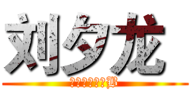 刘夕龙
 (一个神奇小二B)