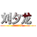 刘夕龙
 (一个神奇小二B)