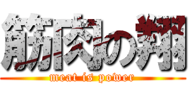 筋肉の翔 (meat is power)