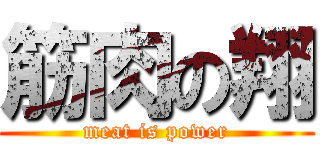 筋肉の翔 (meat is power)