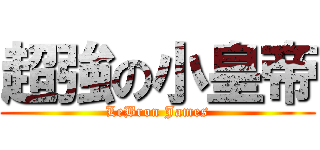超強の小皇帝 (LeBron James)