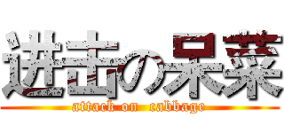 进击の呆菜 (attack on  cabbage)