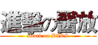 進擊の醫放 (attack on BIRS)