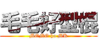 毛毛好型棍 (MOMO ho MK)