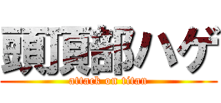 頭頂部ハゲ (attack on titan)