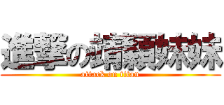 進撃の靖穎妹妹 (attack on titan)