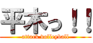 平木っ！！ (attack volleyball)