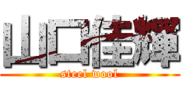 山口佳輝 (steel wool)