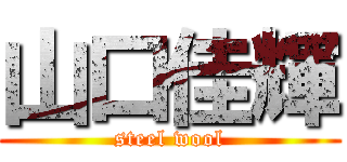 山口佳輝 (steel wool)