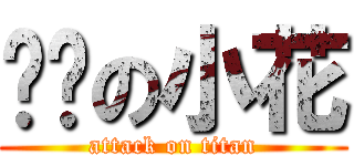 进击の小花 (attack on titan)