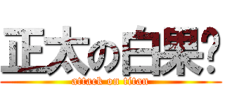 正太の白果醬 (attack on titan)