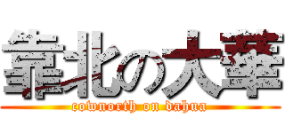 靠北の大華 (cownorth on dahua)