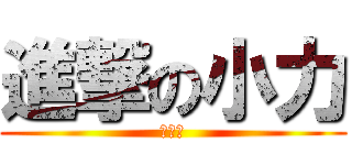 進撃の小力 (鉨鎷铋)