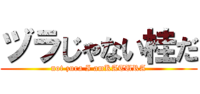 ヅラじゃない桂だ (not zura I amKATURA)