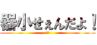 器小せぇんだよ！ (すた)