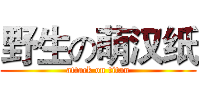 野生の萌汉纸 (attack on titan)