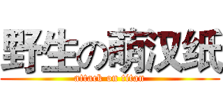 野生の萌汉纸 (attack on titan)