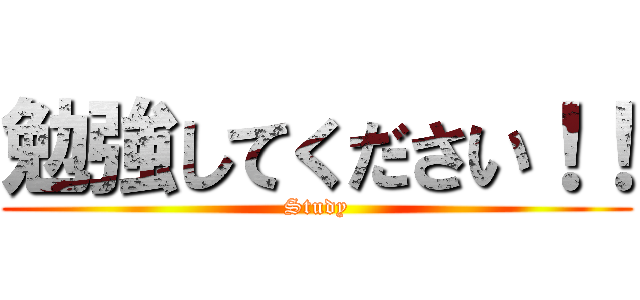 勉強してください！！ (Study)