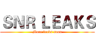 ＳＮＲ ＬＥＡＫＳ (More leaks soon)
