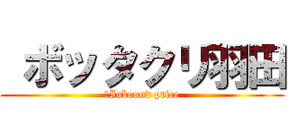  ボッタクリ羽田 (　Inbound price)