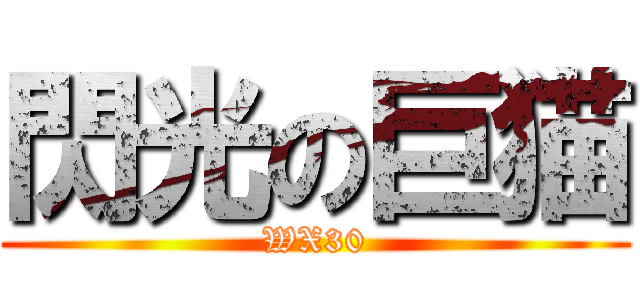 閃光の巨猫 (WX30)