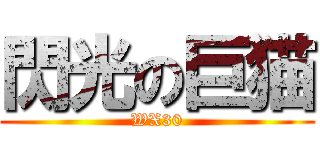 閃光の巨猫 (WX30)