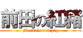 前田の紅豬 (Maeda`s red pig)