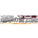 進撃の曹云森 (attack on titan)