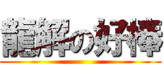 龍解の好棒 ()